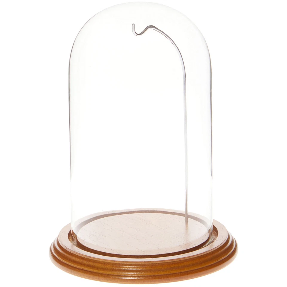 Cúpula de exhibición de vidrio para reloj Plymor de 4,5" x 8" (base de chapa de roble y alambre plateado) Foto 1 de 1