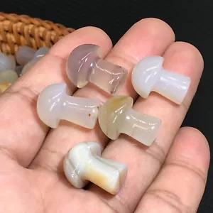 10pcs natural agate Mushroom Quartz Crystal Reiki healing gem - Picture 1 of 7