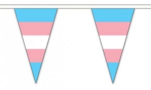 TRANSGÉNERO TRIANGULAR BUNTING 5 metros 12 banderas bandera poliéster orgullo lgbt - Imagen 1 de 1