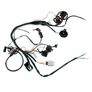 Rec Reg Motor Cableado Arnés Telar Kit Alambres PIT PRO TRAIL Dirt Bike - Imagen 1 de 11