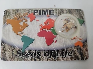 PIME Ministries Seeds of Life Karte ~ Jesus ~ Detroit Michigan - Bild 1 von 3