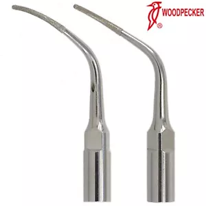 P2LD P2RD se adapta a EMS Periodoncia - Imagen 1 de 30