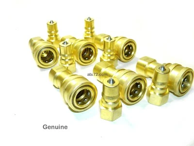 DAM Carpet Cleaning Brass 1/4" Quick Connect (Set Of 6)