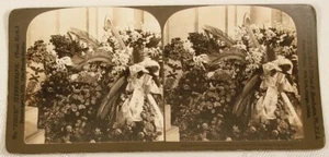 PRESIDENT McKINLEY SET AUS 3 H C WEISSEN STEREOVIEWS ESCORT EINWEIHUNGSBLUMEN - Bild 1 von 3