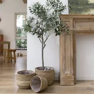 Natural Seagrass Large Planter, Plant Pots Cover, Indoor Planters Flower Pots, 1 - Picture 1 of 6
