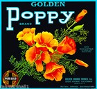 Azusa Los Angeles Golden Poppy Flowers Orange Citrus Fruit Crate Label Art Print