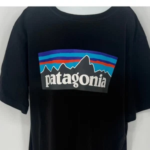 Camiseta Patagonia Niños Negra Gráfica Algodón Orgánico Talla L(12) Camiseta Logo Juvenil - Imagen 1 de 5