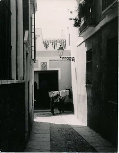 SEVILLA c. 1950 - Calle del Aqua Espagne - NV 4017 - Picture 1 of 2