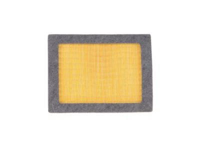 Filtro de aire 38928TMWV 2006 5,4 L V8 para Ford F250 Super Duty 2005-2007 Foto 1 de 2