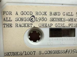 1980 THE SKUNKS DEMO PUNK ROCK CASSETTE RARE AUSTIN TEXAS - Imagen 1 de 4