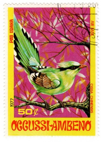 (I.B) Timor Cinderella : Occussi-Ambeno 50c (Birds Series) Cover