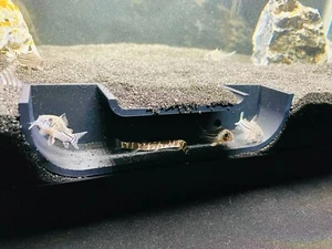 Aquarium Underground Cave Hide Fish Tank Decoration Kuhli Loach Cory Catfish - Picture 1 of 11