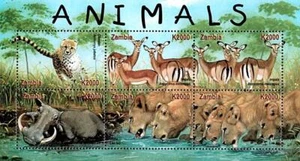 SAMBIA 2001 ANIMALS M/S SC#923 BIG CATS, PIG mnh💲FREE SHIPPING💲 - Bild 1 von 1