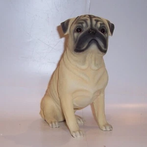 Best of Breed - Pug - sentado - Imagen 1 de 1