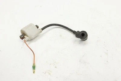 Bobina de encendido Yamaha Badger 80 85 5M0-82310-M0-00 51100 Foto 1 de 3