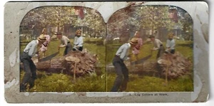 Log Cutters At Work Steroscopic View # 9 - Picture 1 of 2