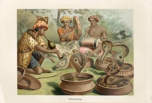 1890 A.Brehm INDIA INDIAN SNAKE CHARMER COBRA Antique Chromolithograph Print - Picture 1 of 1