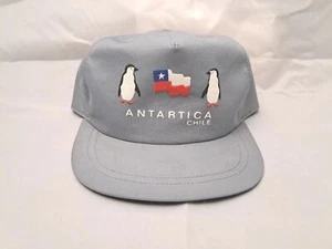 Baseballmütze Antarktis Pinguine Chile chilenische Flagge Erwachsene patriotische Mütze Druckknopflasche - Bild 1 von 10