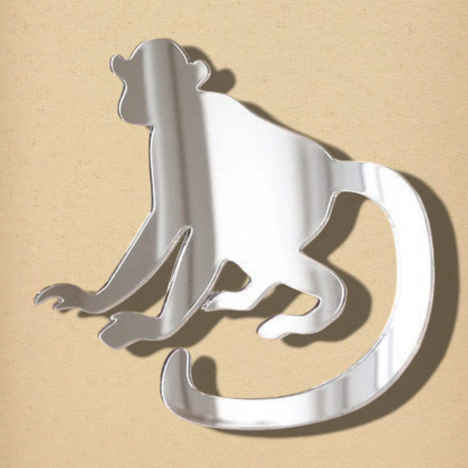 Обезьяна зеркало - Изображение 1 из 1