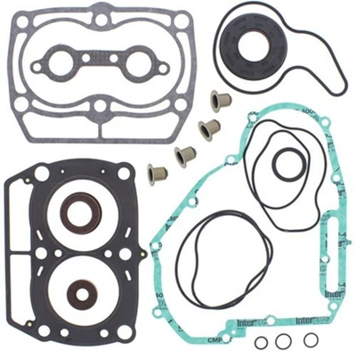 Juego de juntas Winderosa con sellos de aceite 811945 837571 vep811945 Foto 1 de 3