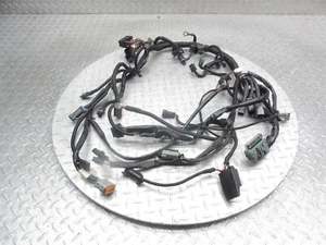 2006 06-08 Harley Night Rod VRSCD Main Engine Wiring Harness Wire Loom Cable OEM - Picture 1 of 18