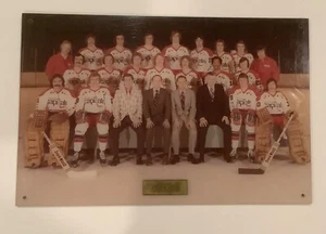 NHL Washington Capitals - 1975-76 Season Two Team Picture 19x13” RARE - Picture 1 of 4