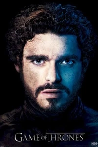 GAME OF THRONES ~ ROBB PORTRAIT S3 24x36 TV POSTER Stark Richard Madden HBO - Picture 1 of 1