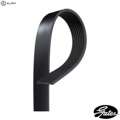 VRIBBED BELT 8PK1213HD FOR MERCEDES-BENZ ACTROS/MP2/MP3 OM541.920/940 11.9L 8cyl - Image 1 of 4