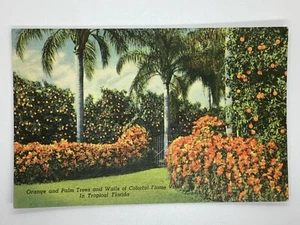 Postcard Orange and Palm Trees Fence and Walls Florida FL H375 - Picture 1 of 2