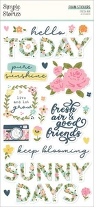 3 Pack Fresh Air Foam Stickers 40/PkgFRA21624 - Photo 1/4