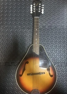 Harmony Mandolin Flat 1970 Vintage - Picture 1 of 6