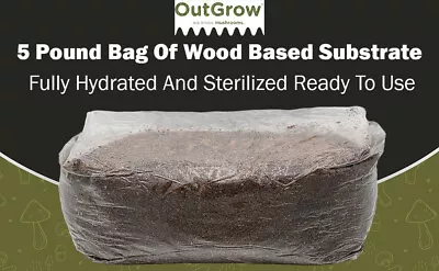 Sustrato de hongos de madera dura esterilizada de 5 lb - Listo para usar para hongos amantes de la madera Foto 1 de 4
