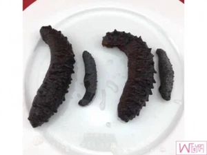 South American wild black pearl sea cucumber 南美野生淡干黑珍珠刺参 x 2 boxes - Picture 1 of 3