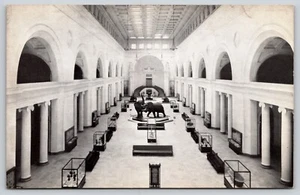 Postal Elephant Stanley Field Hall Museo de Historia Natural de Chicago Illinois - Imagen 1 de 2