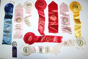 1960's / 1970's Corvette Mustang 76 winner's ribbons Sports Car Club of America - Picture 1 of 7