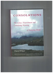 Consolations Solace Nourishment & Underlying Meaning of Everyday Words by Whyte - Picture 1 of 2