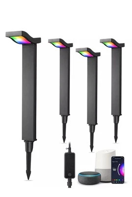 EDISHINE 48FT Smart Christmas Pathway Lights, RGBW Low Voltage Landscape Light - Image 1 of 4