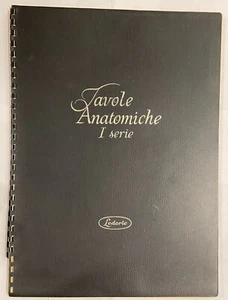 Anatomische Bretter - I und II Serie. Lederle Laboratories Division Edition. 1966 - Bild 1 von 6