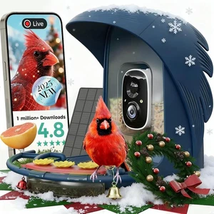 Bird Buddy Smart Bird Feeder With Camera Solar Powered Solar Roof - New - Picture 1 of 10