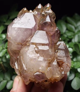 345,2 g Nuevas muestras minerales esqueléticas naturales de amatista - Imagen 1 de 12
