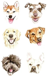 Pup Chart, 2020, de Wallace May --POSTAL - Imagen 1 de 1