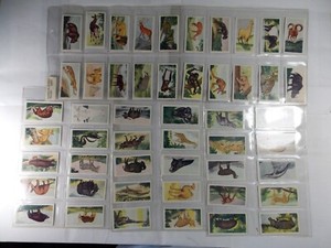 Neilsons Trade Cards Interesting Animals 1954 Complete set 50