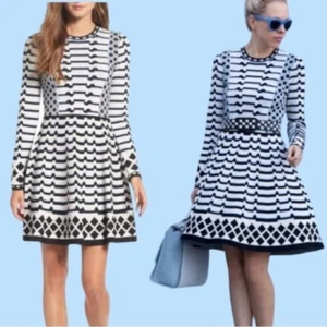 Eliza J. Blue Ivory Black Geo Stripe Long Sleeve Sweater Fit & Flare Dress PS - Picture 1 of 16