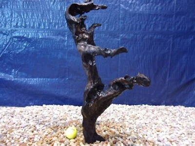 Large Driftwood 20"x10"x05" Aquarium Terrarium Reptile Natural Art - Image 1 of 4