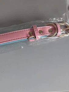 Hundehalsband Medium Rosa & Blau Neu Mit Etikett - Bild 1 von 8