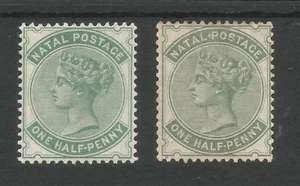 NATAL SG97&97a THE 2 SHADES QV HALFPENNY (BLUE GREEN&DULL GRN) MINT CAT £106.50 - Picture 1 of 2
