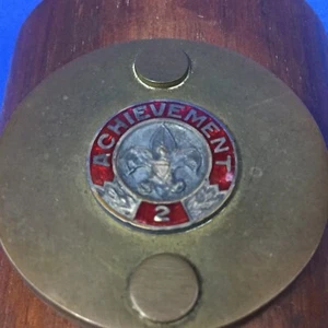 Boy Scout Handicap Achievement 2 Pin Mounted on Pen/Pencil Holder - Picture 1 of 6
