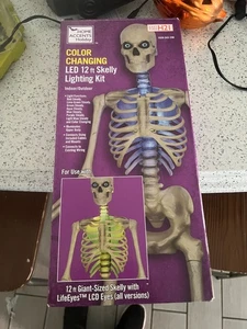 Home Accents Holiday Modell 23SV24041 LED 12ft. Skelly Beleuchtungsset 1009 043 296 - Bild 1 von 2