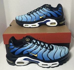 Scarpe Nike Air Max Plus OG Hyper Blue 2025 Uomo Taglia 10.5 DX0755-001 Nuove - Foto 1 di 6