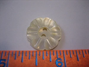 De colección 11/16" Tallado MOP Madreperla Concha Coser Botón - S9 - Imagen 1 de 5